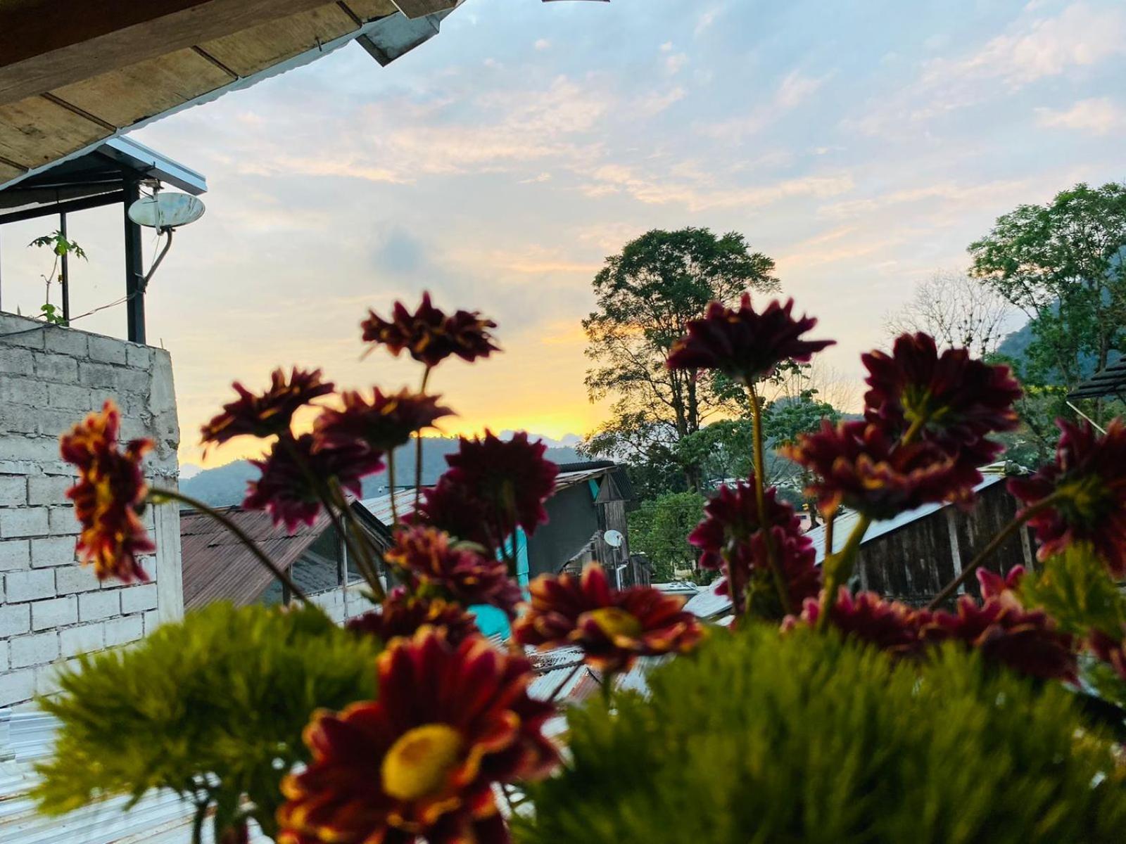 Guayabo Hostal 민도 외부 사진