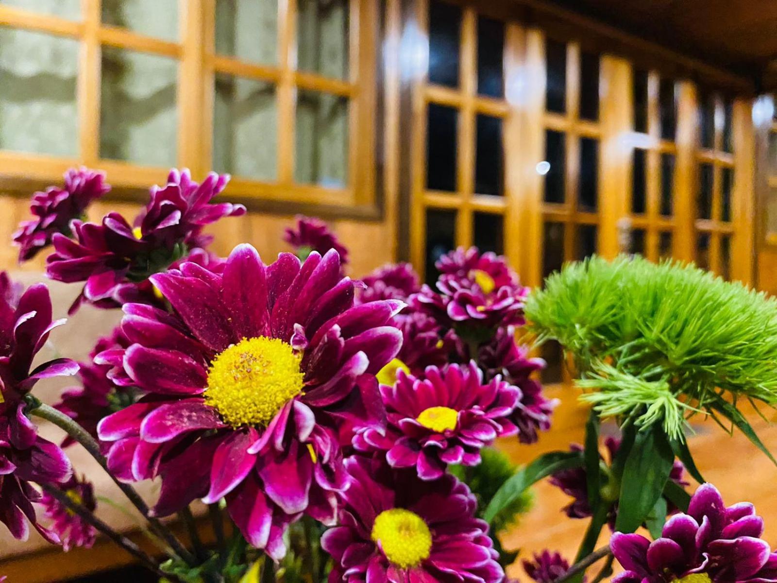 Guayabo Hostal 민도 외부 사진